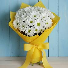 Букет цветов из:  Хризантемы в Князе-Волконском