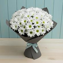 Букет цветов из:  Хризантемы в Князе-Волконском