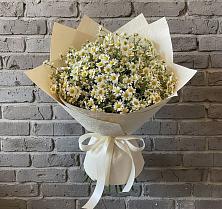 Букет цветов из:  Ромашки в Князе-Волконском