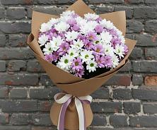 Букет цветов из:  Хризантемы в Князе-Волконском