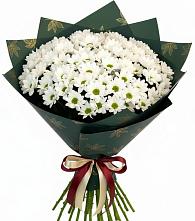 Букет цветов из:  Хризантемы #REPLACE_PRED# Князе-Волконском