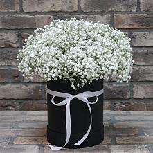 Цветочная композиция из Гипсофила в шляпной коробке в Князе-Волконском