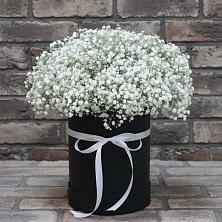 Цветочная композиция из Гипсофила в шляпной коробке в Князе-Волконском